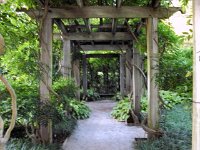 photos 2000-200902538